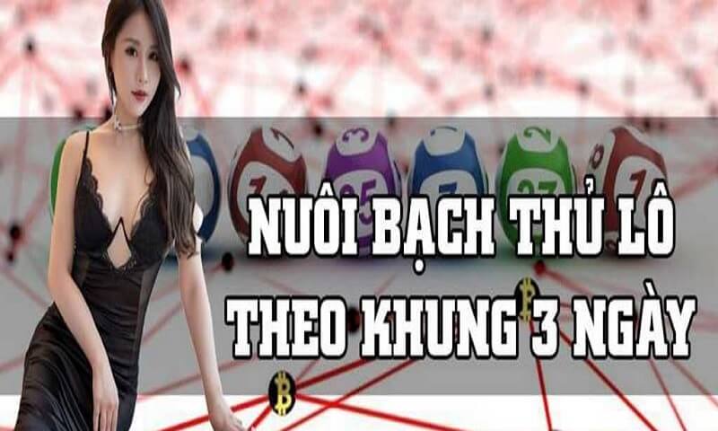 Bạch thủ lô khung 3 ngày là gì, ưu nhược điểm