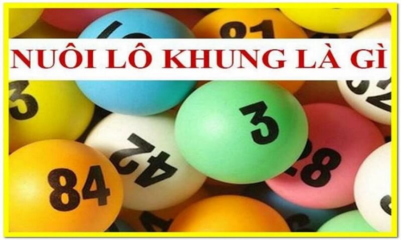 Tìm hiểu nuôi lô khung là gì?