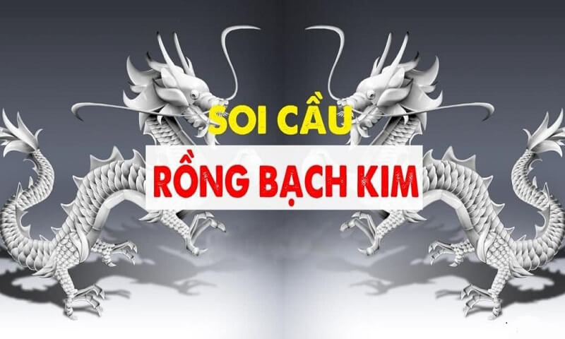 Tìm hiểu rồng bạch kim là gì?