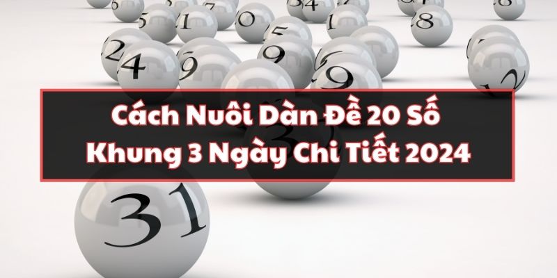 Cách Nuôi Dàn Đề 20 Số Khung 3 Ngày Chi Tiết 2024