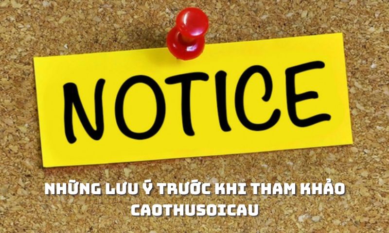 Những lưu ý trước khi tham khảo Caothusoicau