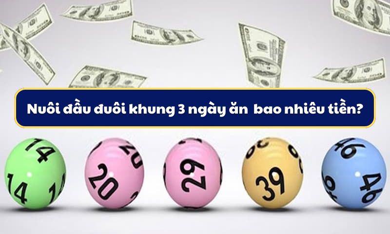 Nuôi đầu đuôi khung 3 ngày khi trúng nhận được bao nhiêu tiền?